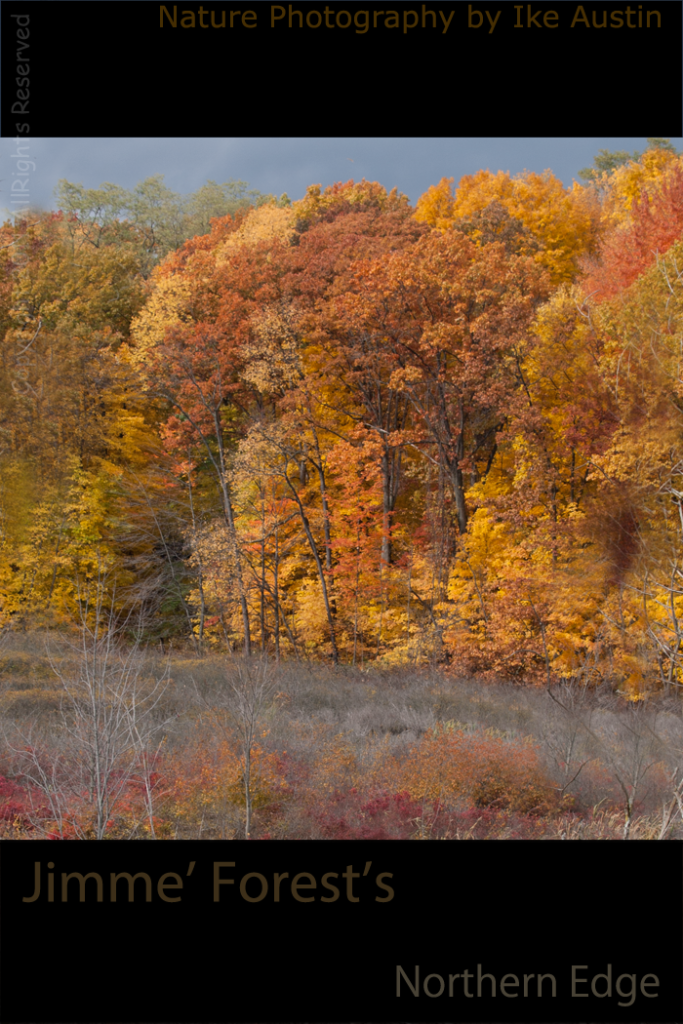 1000 Shades of Color, Michigan 1000 Shades of Color
