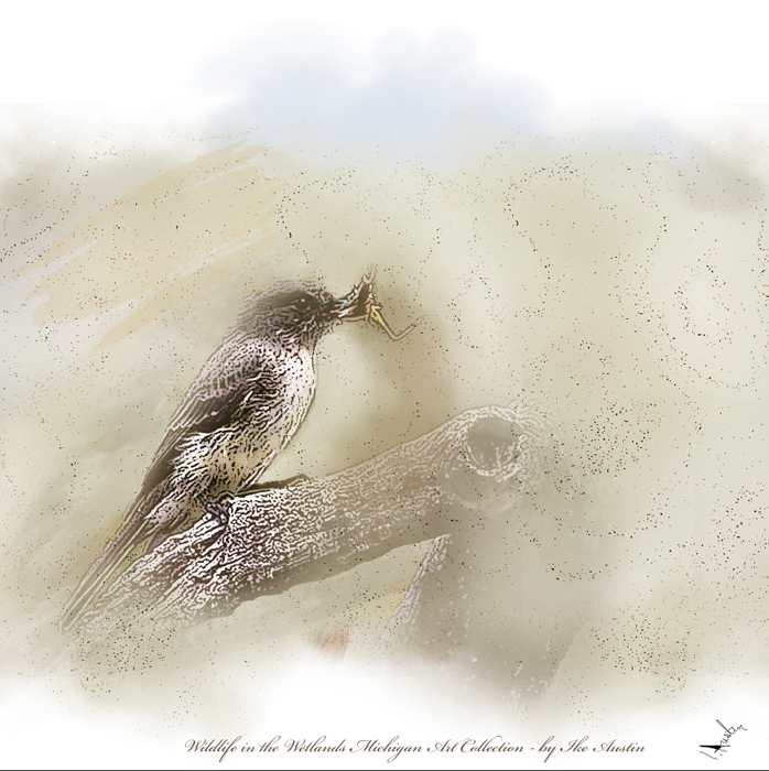 Wildlife in the Wetlands