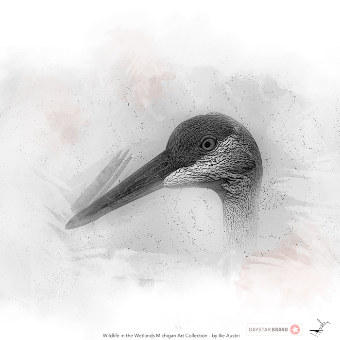 Michigan Art Prints